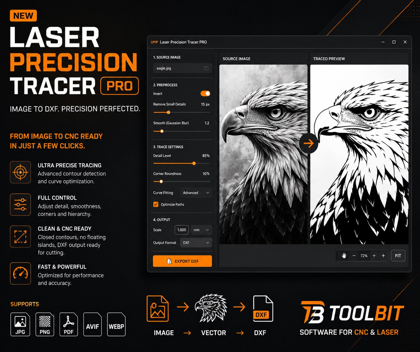 LPTP Laser Precision Tracer PRO — wektoryzacja zdjęcia do DXF, przykład na fotografii orła